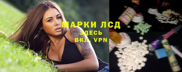 мет Алексин