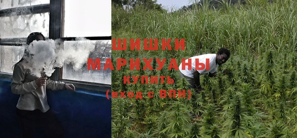 амф Алзамай