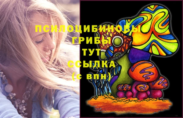 мет Алексин