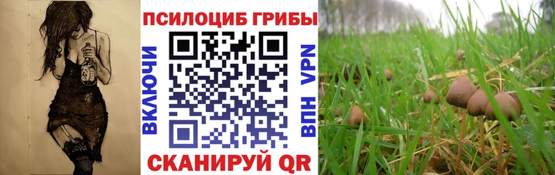 Галлюциногенные грибы ЛСД  где купить наркоту  Жуковка 